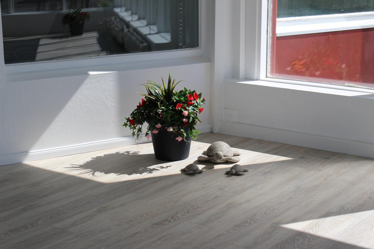 Ocean Beach Apartments Stokkseyri Eksteriør bilde